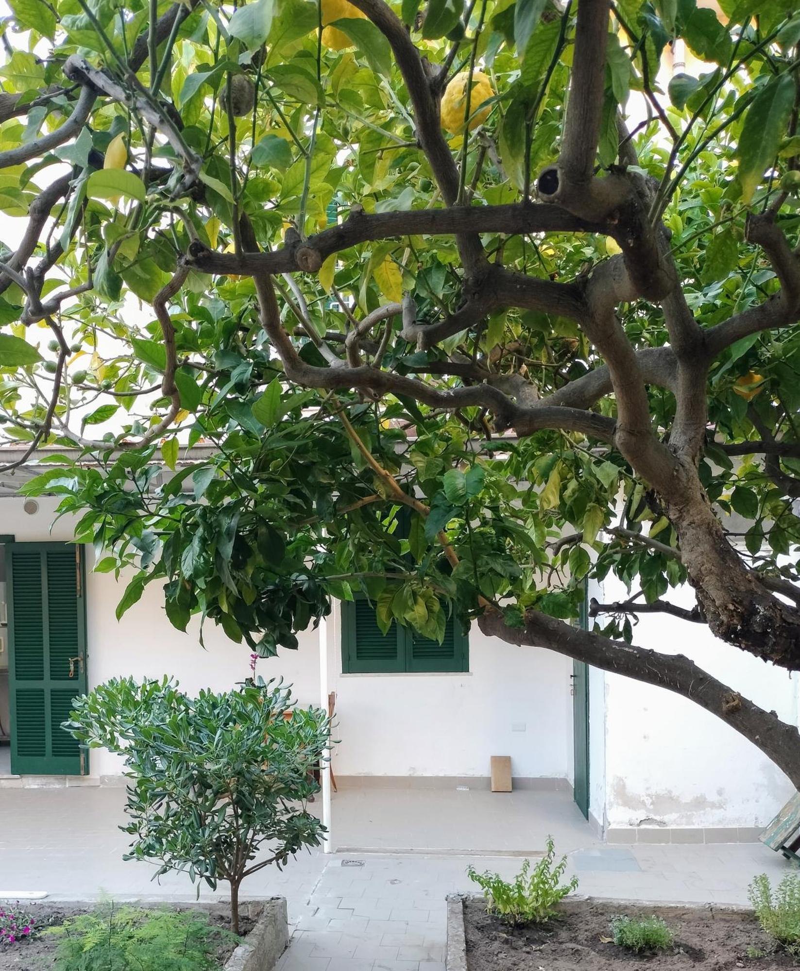 Ferienwohnung Sunny House Parghelia Exterior foto